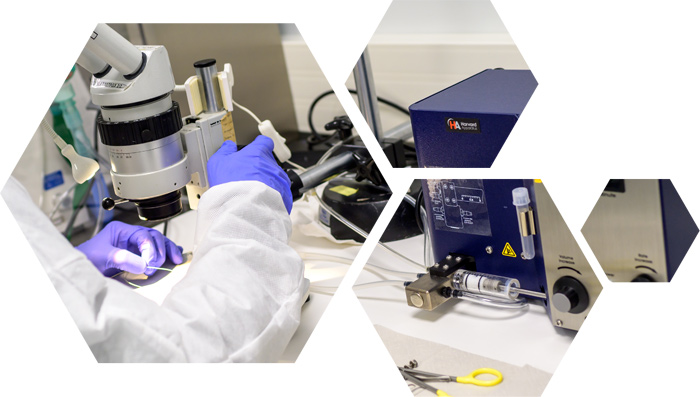 Telemetry monitoring in vivo exploration Telemetry monitoring in vivo exploration