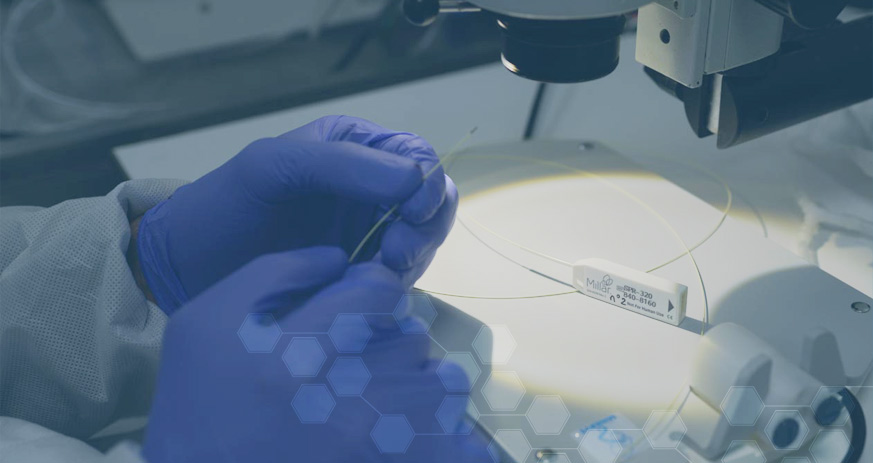 img cardiovascular deseases research img cardiovascular deseases research