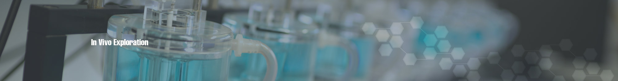 in vivo exploration of cardiovascular diseases in vivo exploration of cardiovascular diseases